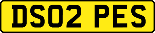 DS02PES