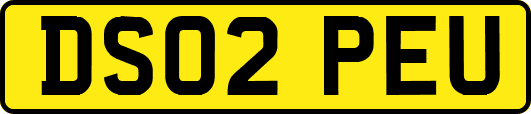 DS02PEU