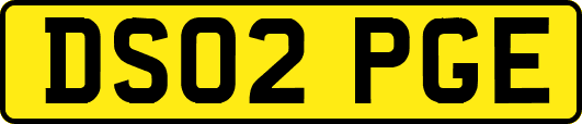 DS02PGE