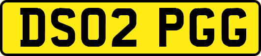 DS02PGG