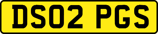 DS02PGS