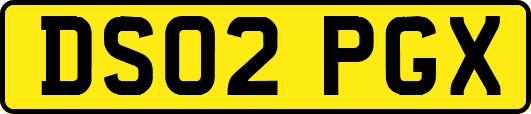 DS02PGX