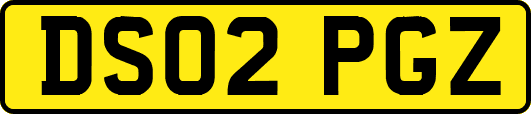 DS02PGZ