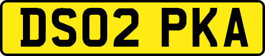 DS02PKA