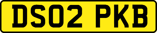 DS02PKB