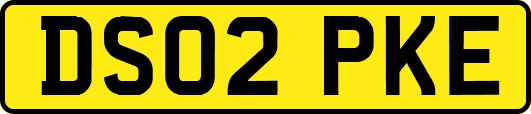 DS02PKE
