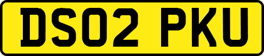 DS02PKU