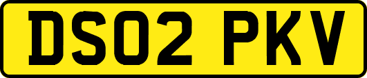 DS02PKV