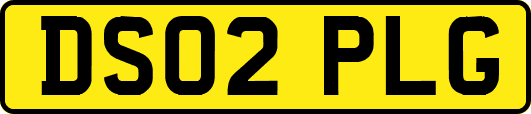 DS02PLG