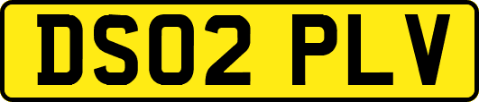 DS02PLV