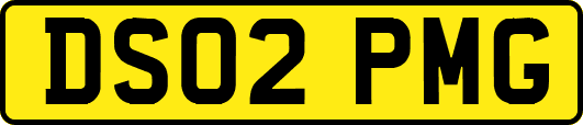 DS02PMG