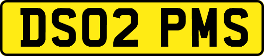 DS02PMS