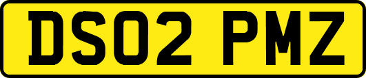 DS02PMZ