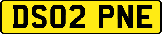 DS02PNE