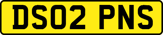 DS02PNS
