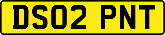 DS02PNT