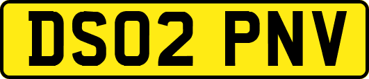 DS02PNV