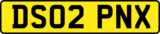 DS02PNX