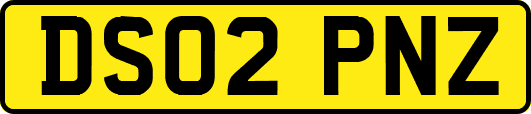 DS02PNZ