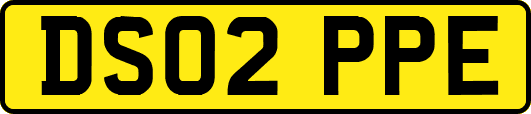 DS02PPE