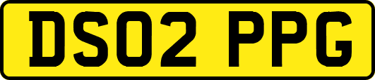 DS02PPG