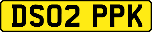 DS02PPK