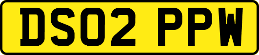 DS02PPW