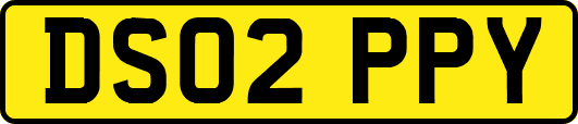 DS02PPY