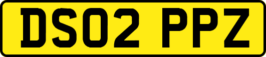 DS02PPZ