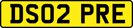 DS02PRE
