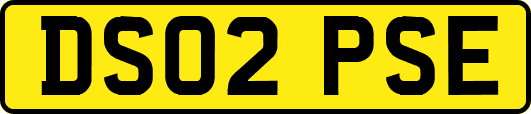 DS02PSE