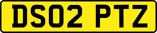 DS02PTZ
