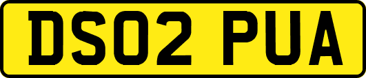 DS02PUA
