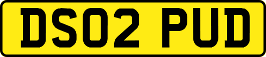 DS02PUD