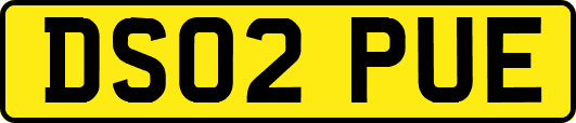 DS02PUE