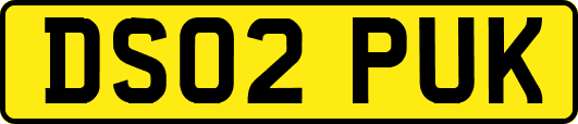 DS02PUK