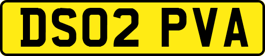 DS02PVA