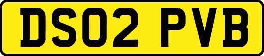DS02PVB