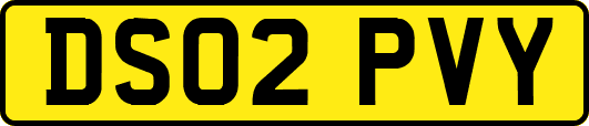 DS02PVY