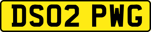 DS02PWG