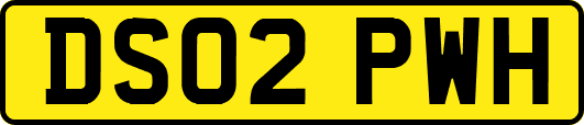 DS02PWH