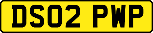 DS02PWP