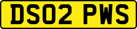 DS02PWS