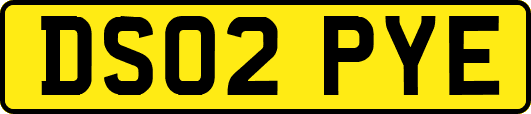 DS02PYE