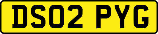 DS02PYG