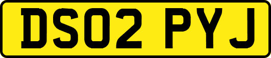 DS02PYJ