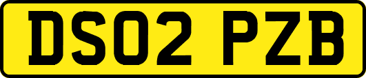 DS02PZB