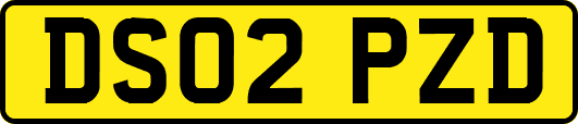 DS02PZD