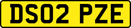 DS02PZE