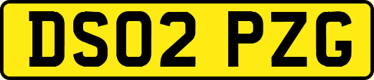 DS02PZG